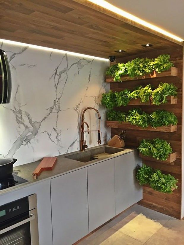 دیوار سبز مورد استفاده در کشاورزی آپارتمانی