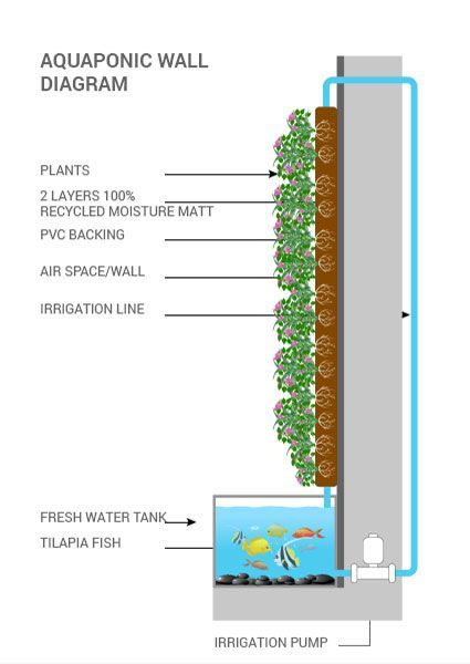سیستم های آبیاری و لایه تشکیل دهنده دیوار سبز
