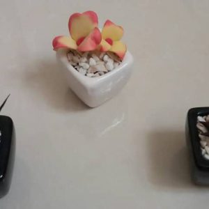 گلدان کوچک سرامیکی با گلهای خمیر چینی