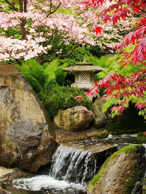 وجود آب و عناصر مانند فانوس در باغ ژاپنی