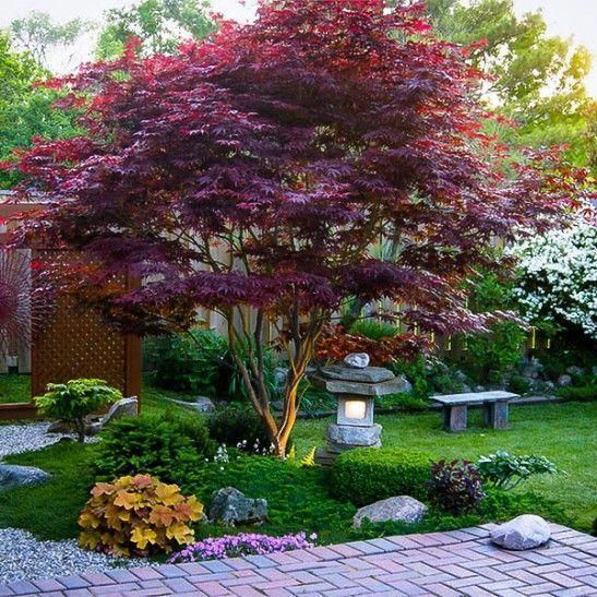عناصر پوششی و گیاهان در باغ ژاپنی